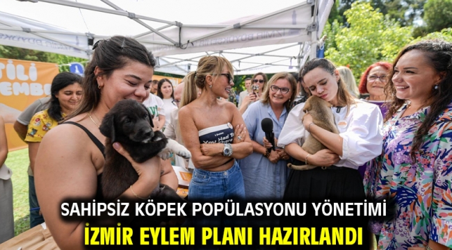 Sahipsiz Köpek Popülasyonu Yönetimi İzmir Eylem Planı hazırlandı