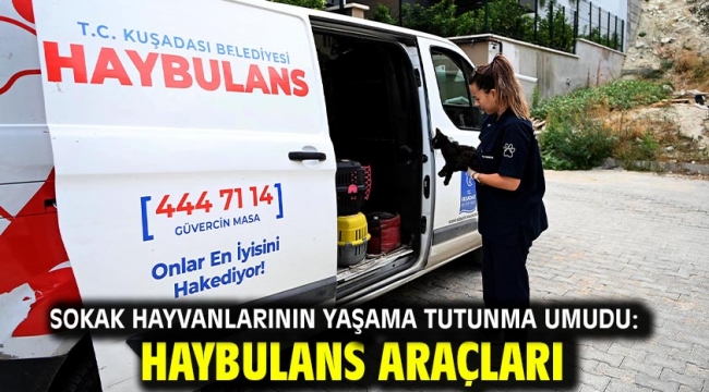 Sokak Hayvanlarının Yaşama Tutunma Umudu: Haybulans Araçları