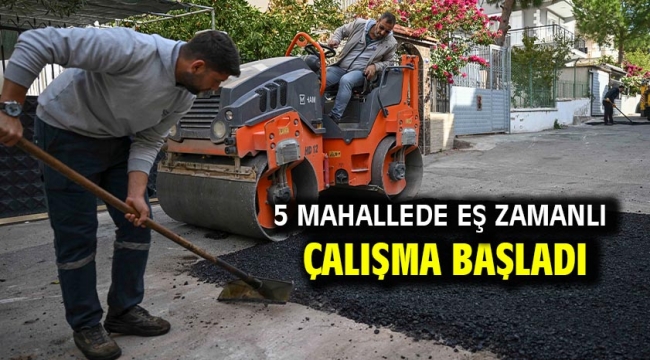 5 mahallede eş zamanlı çalışma başladı