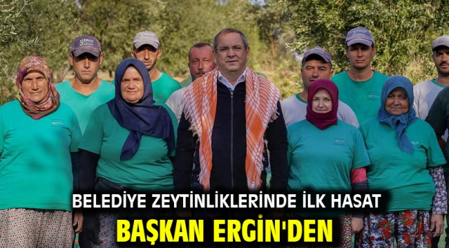  Belediye zeytinliklerinde ilk hasat Başkan Ergin'den