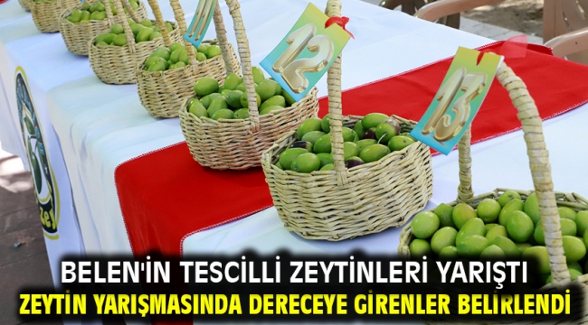 Belen'in Tescilli Zeytinleri Yarıştı... Zeytin Yarışmasında Dereceye Girenler Belirlendi