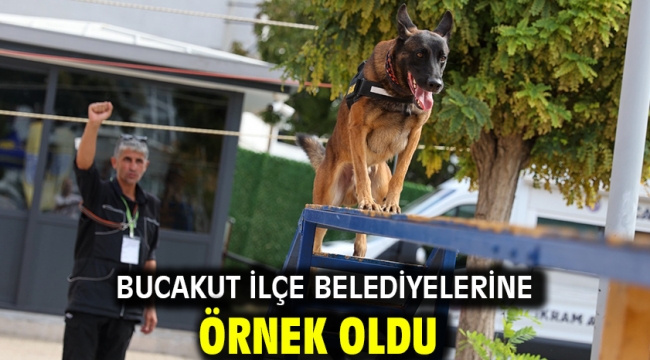 BUCAKUT ilçe belediyelerine örnek oldu