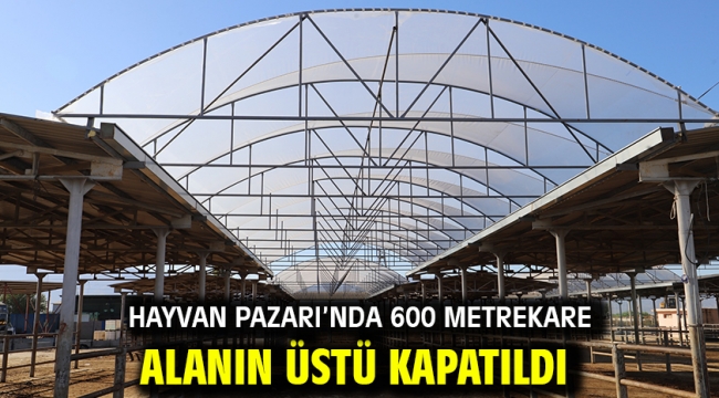 Hayvan Pazarı'nda 600 metrekare alanın üstü kapatıldı