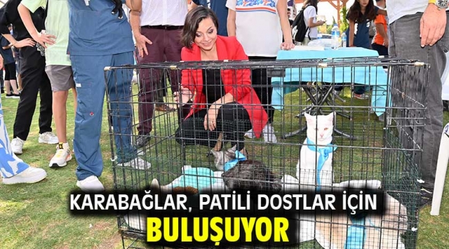 Karabağlar, patili dostlar için buluşuyor