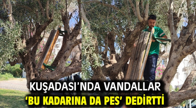 Kuşadası'nda Vandallar 'Bu Kadarına Da Pes' Dedirtti