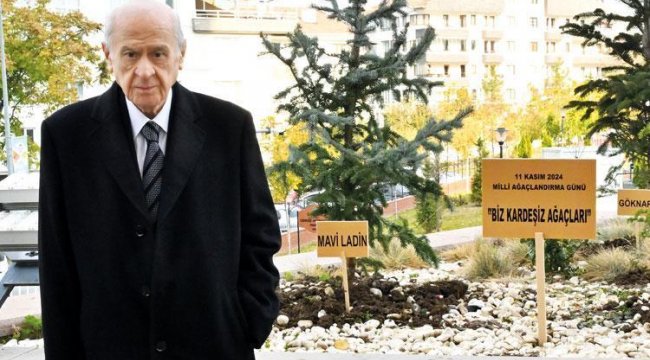 Bahçeli'den 'Biz Kardeşiz Ağaçları'