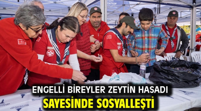 Engelli bireyler zeytin hasadı sayesinde sosyalleşti