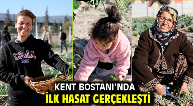 Kent Bostanı'nda ilk hasat gerçekleşti