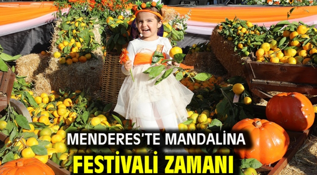 Menderes'te Mandalina Festivali Zamanı