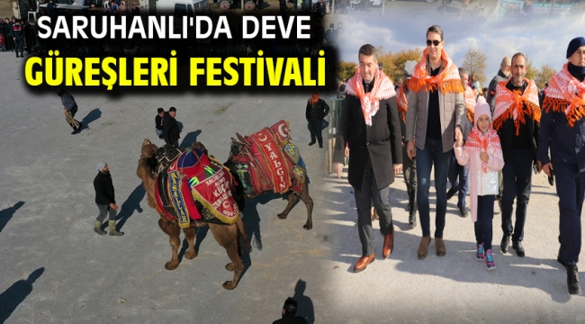 Saruhanlı'da Deve Güreşleri Festivali