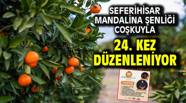 Seferihisar Mandalina Şenliği Coşkuyla 24. Kez Düzenleniyor