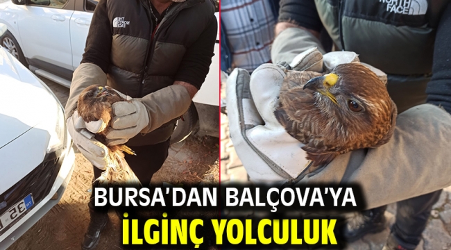 Bursa'dan Balçova'ya ilginç yolculuk