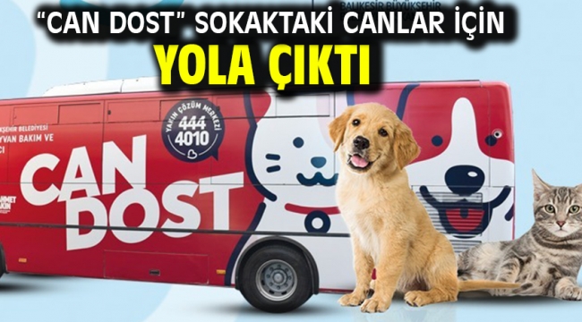 "Can Dost" sokaktaki canlar için yola çıktı