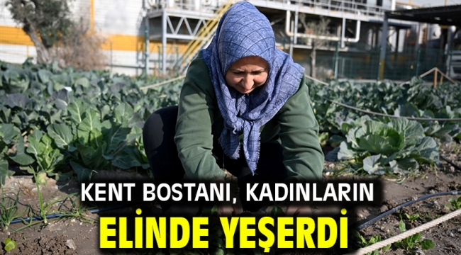 Kent Bostanı, kadınların elinde yeşerdi