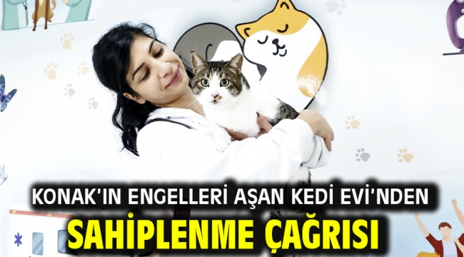 Konak'ın engelleri aşan Kedi Evi'nden sahiplenme çağrısı