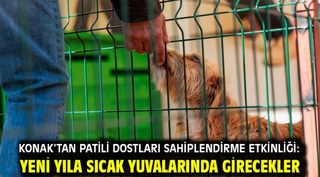 Konak'tan patili dostları sahiplendirme etkinliği: Yeni yıla sıcak yuvalarında girecekler