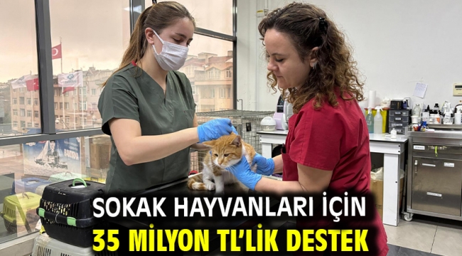 Sokak hayvanları için 35 milyon TL'lik destek