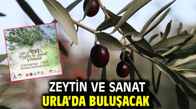 Zeytin ve sanat Urla'da buluşacak