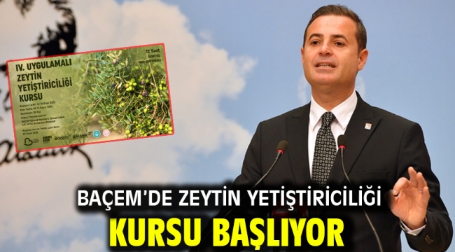 BAÇEM'de zeytin yetiştiriciliği kursu başlıyor​​​​​​​