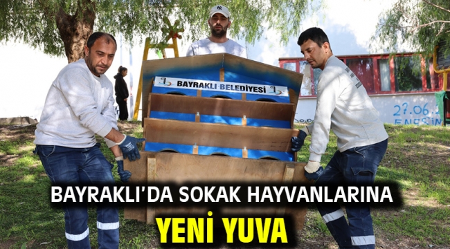 Bayraklı'da sokak hayvanlarına yeni yuva