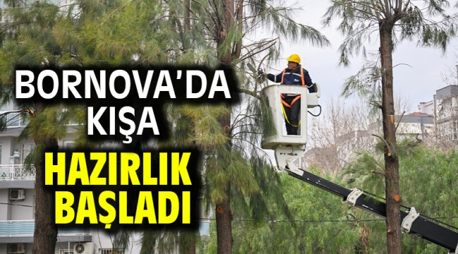 Bornova'da kışa hazırlık başladı