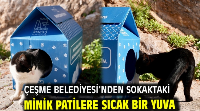 Çeşme Belediyesi'nden sokaktaki minik patilere sıcak bir yuva