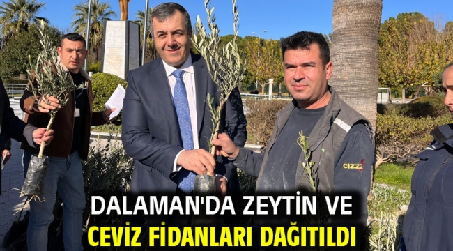 Dalaman'da Zeytin ve Ceviz Fidanları Dağıtıldı