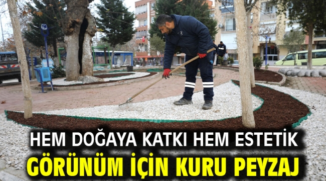 Hem Doğaya Katkı Hem Estetik Görünüm İçin Kuru Peyzaj