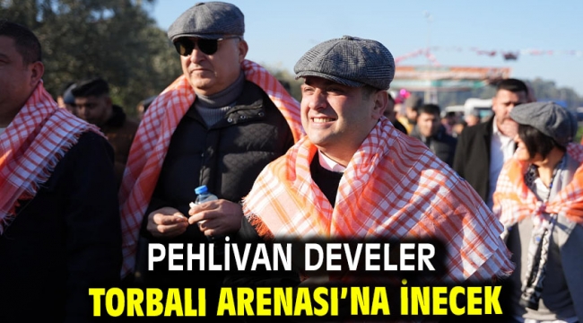 Pehlivan develer Torbalı Arenası'na inecek