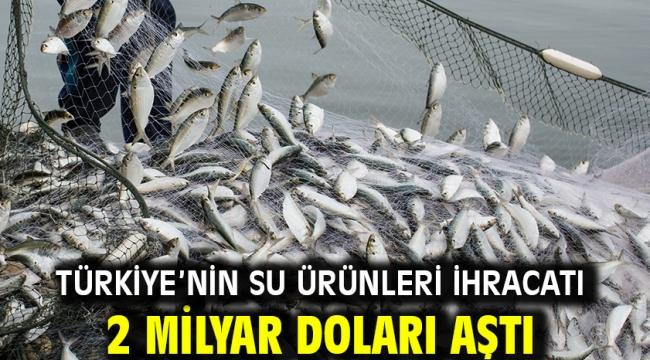 Türkiye'nin su ürünleri ihracatı 2 milyar doları aştı