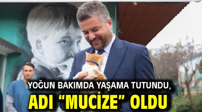 Yoğun bakımda yaşama tutundu, adı "Mucize" oldu