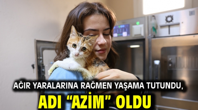 Ağır yaralarına rağmen yaşama tutundu, adı "Azim" oldu