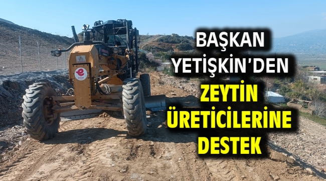 Başkan Yetişkin'den Zeytin Üreticilerine Destek