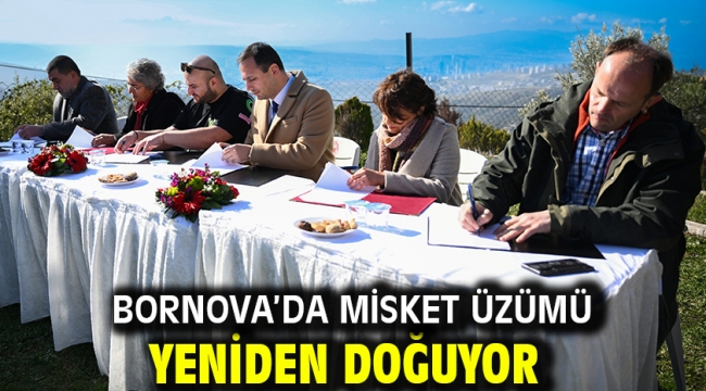 Bornova'da Misket Üzümü yeniden doğuyor