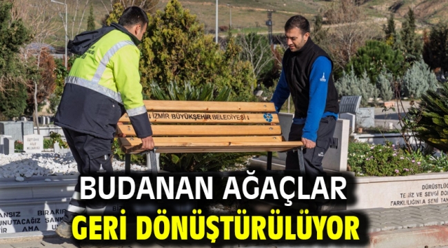 Budanan ağaçlar geri dönüştürülüyor 