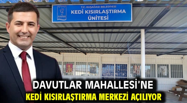 Davutlar Mahallesi'ne Kedi Kısırlaştırma Merkezi Açılıyor 