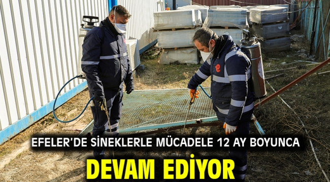 Efeler'de Sineklerle Mücadele 12 Ay Boyunca Devam Ediyor