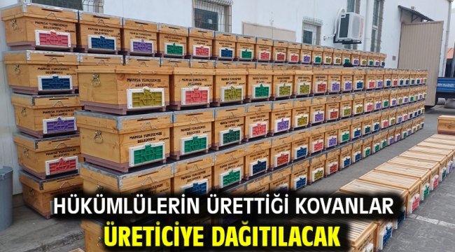 Hükümlülerin Ürettiği Kovanlar Üreticiye Dağıtılacak