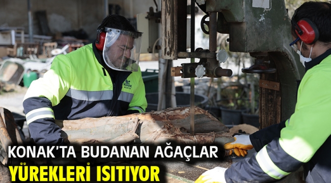 Konak'ta budanan ağaçlar yürekleri ısıtıyor