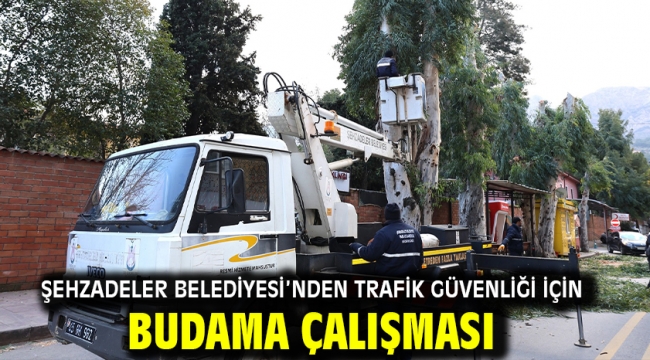 Şehzadeler Belediyesi'nden Trafik Güvenliği İçin Budama Çalışması