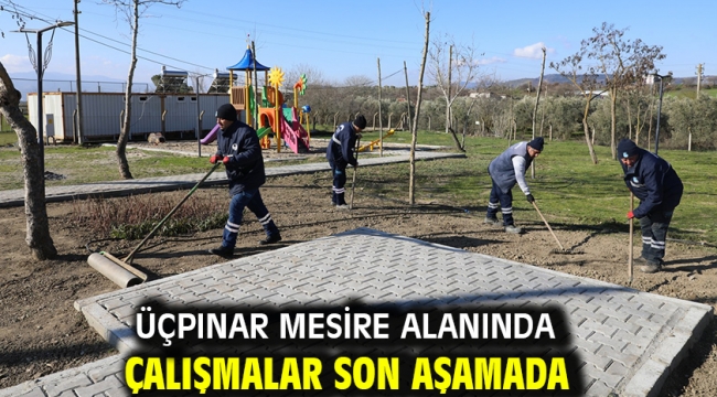 Üçpınar Mesire Alanında Çalışmalar Son Aşamada