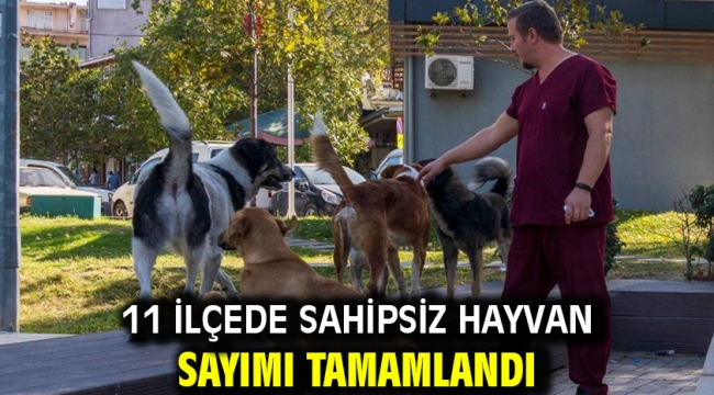 11 ilçede sahipsiz hayvan sayımı tamamlandı