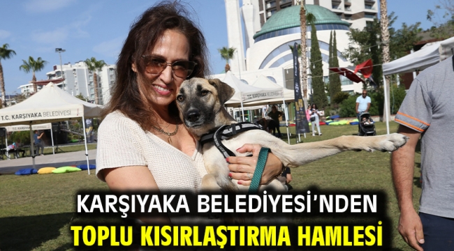 Karşıyaka Belediyesi'nden toplu kısırlaştırma hamlesi