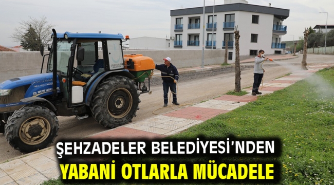 Şehzadeler Belediyesi'nden Yabani Otlarla Mücadele