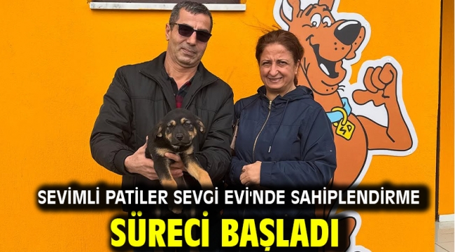 Sevimli Patiler Sevgi Evi'nde Sahiplendirme Süreci Başladı